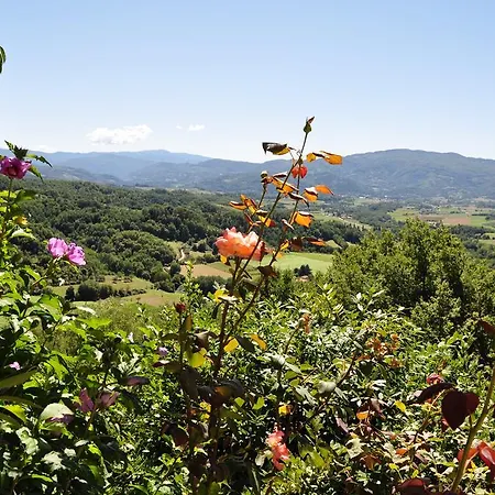 Mugello * Vicchio