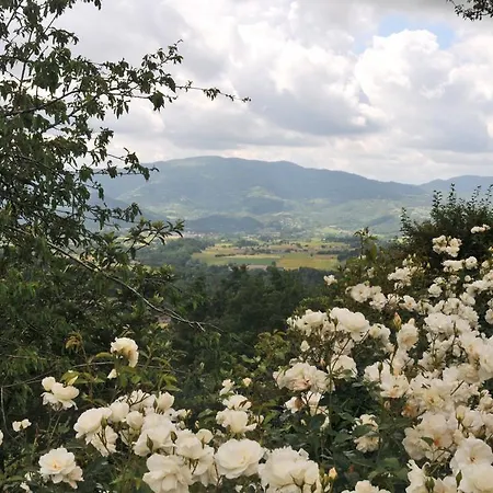 Mugello Apartman