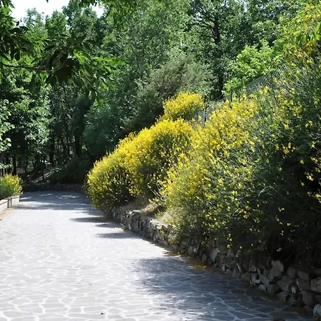Mugello Vicchio