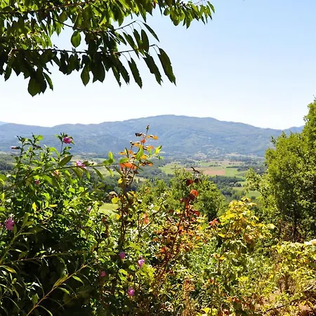 Apartman Mugello *